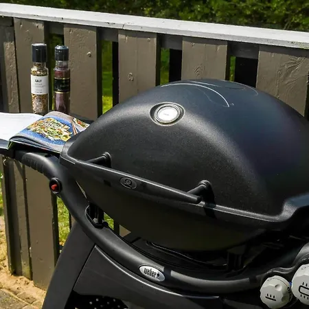 Ferienhaus Bv424-blavand-hedetoftvej-65 *